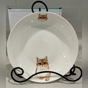 Petorama 8" British Shorthair Cat Porcelain China Plate NIB
